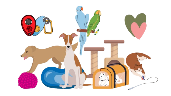 Tiertraining